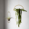 Gold Hanging Semicircle Plant Holder - Image 4