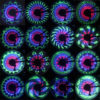Bicycle Wheel Flashing Light - Image 4